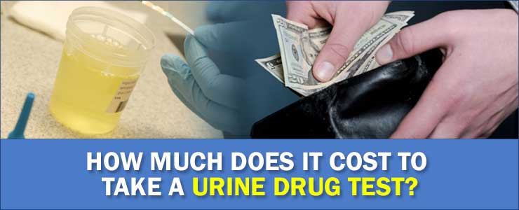 How-Much-Does-it-Cost-to-Take-a-Urine-Drug-Test-