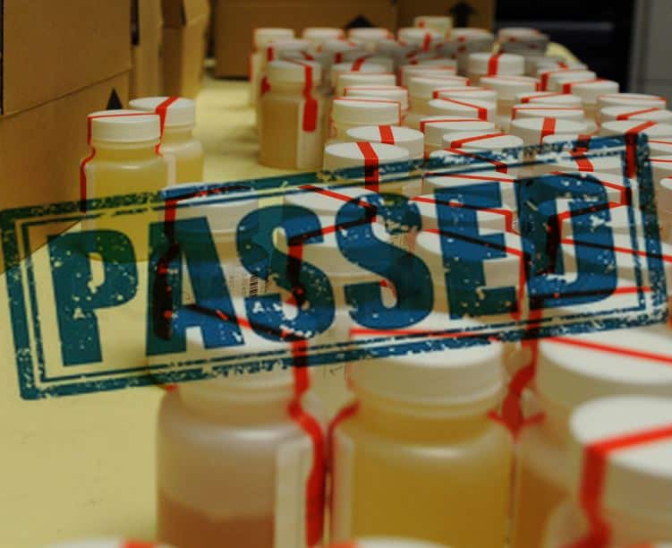 Urine Luck Review (January 2020) Is it the Real Deal?