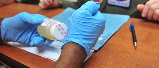 pee examination for drug test