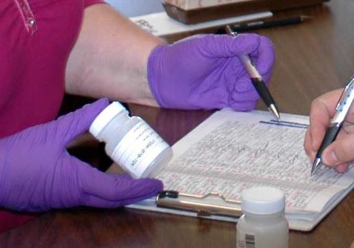 holding a urine sample for testing
