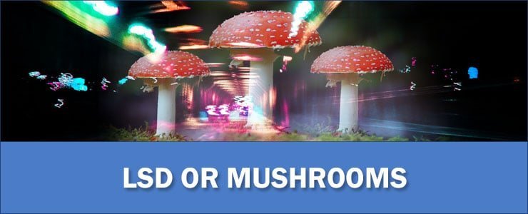 LSD-or-Mushrooms (1)